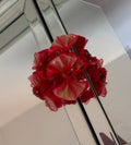 The Scarlet Rose Bow